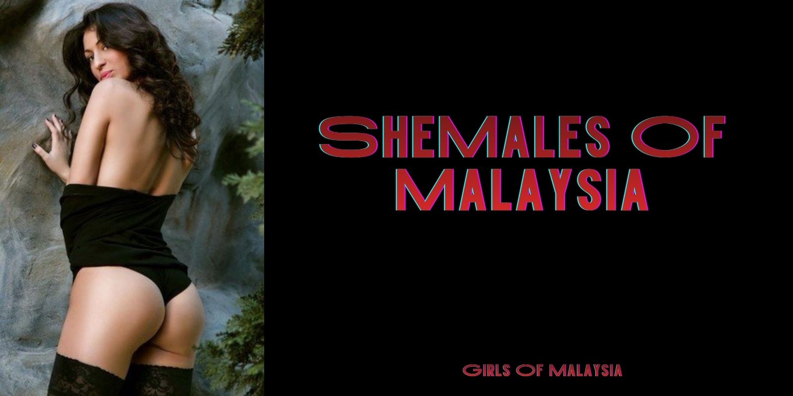 SheMales Of Malaysia – Focus On Social Truth