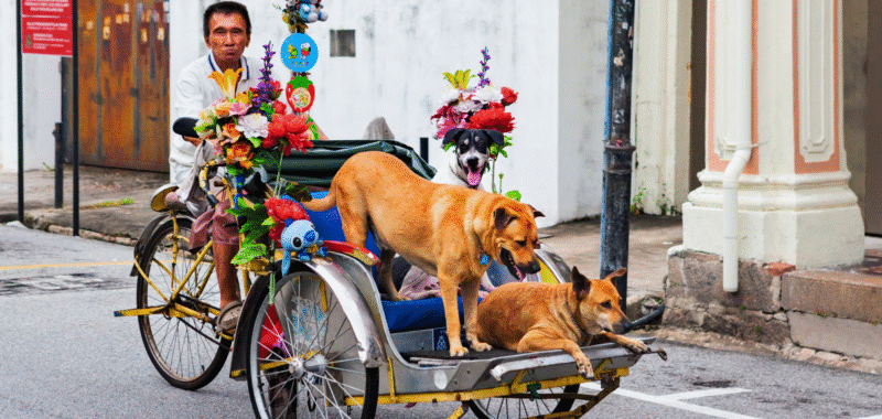 best malaysia photo | Malaysia Tourist Information - Best Things To See And Do Amazing Malaysia Photo